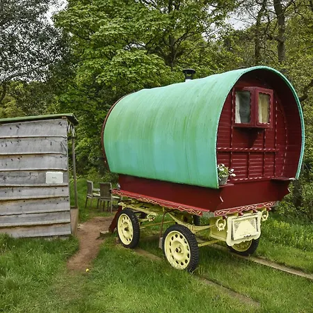 Luksustelt Drybeck Farm 2*